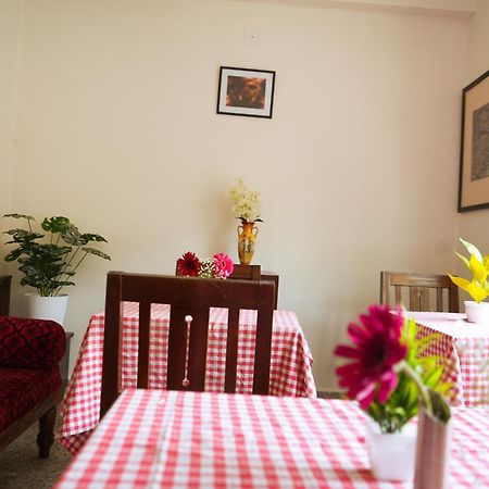Mother Tree Inn Kochi Dış mekan fotoğraf